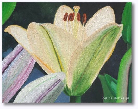 Obraz olejny - Lilia - Malarstwo - Celina Dobke