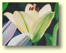 Obraz olejny - Lilia - Malarstwo - Celina Dobke